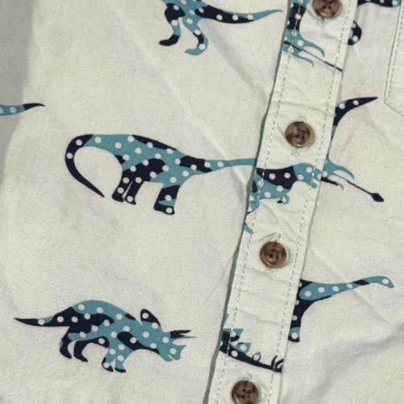 Free Planet - Dinosaur Print Kids Shirt - Light Blueish Green boys 2T - Picture 3 of 4
